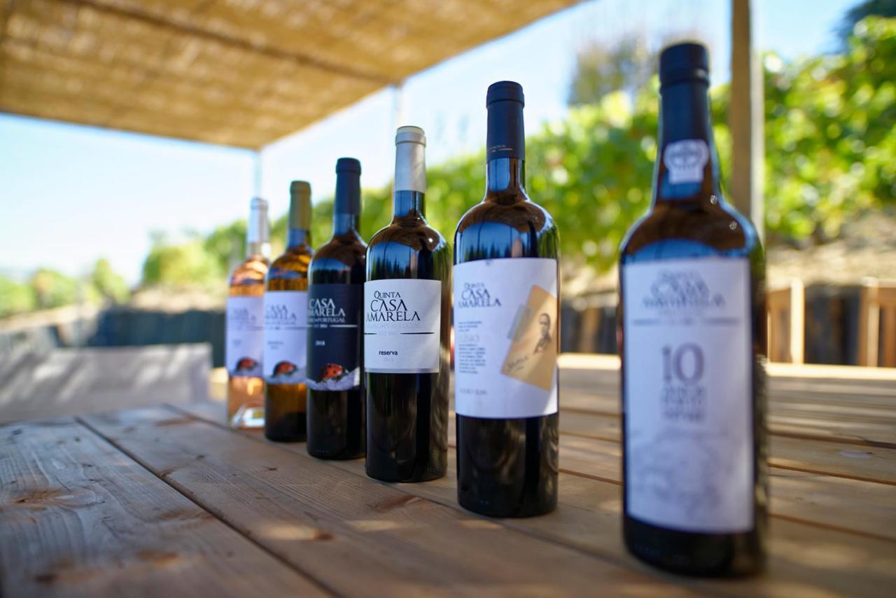 Quinta Da Casa Amarela- Casas Da Quinta - Turismo Em Espaco Rural Ламегу Экстерьер фото