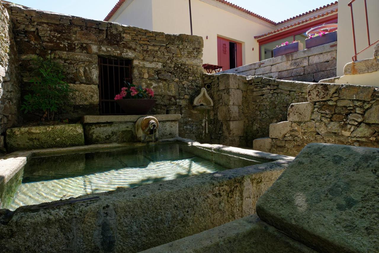 Quinta Da Casa Amarela- Casas Da Quinta - Turismo Em Espaco Rural Ламегу Экстерьер фото